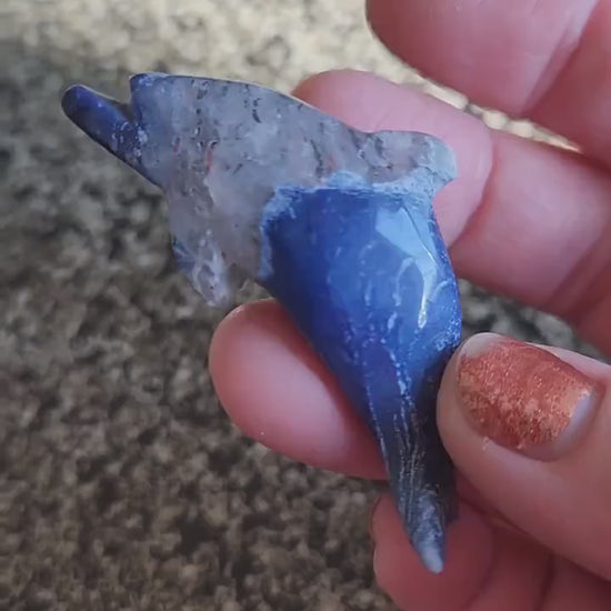 Mini Sodalite Dolphin Crystal Carving - High Polish, Brazil