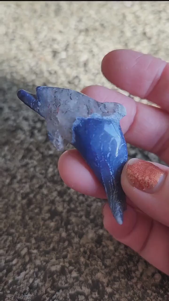 Mini Sodalite Dolphin Crystal Carving - High Polish, Brazil
