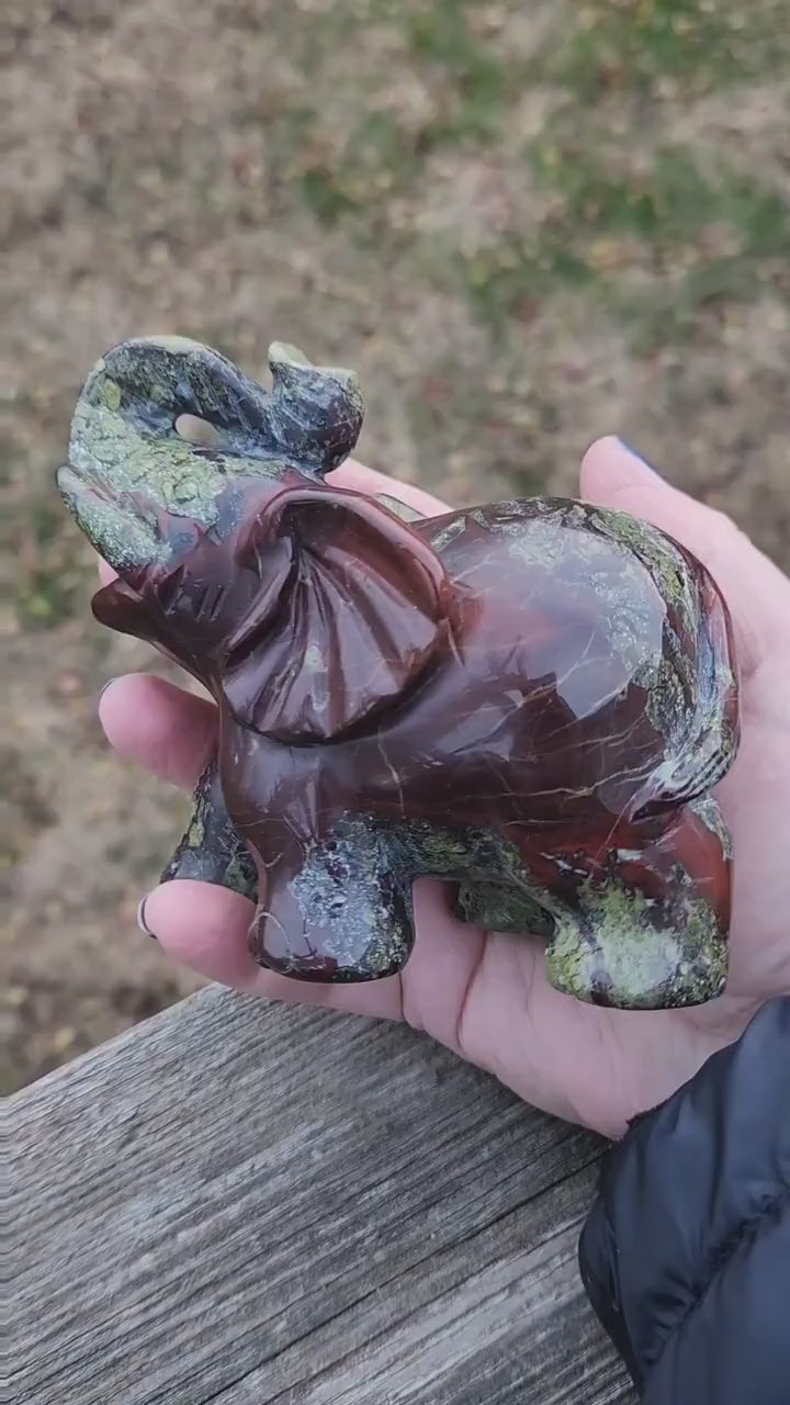 Beautiful High Polished Dragon Blood Jasper Carved Elephant Crystal Stone