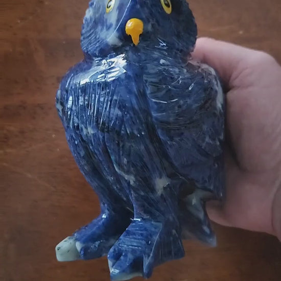 Gorgeous AAA Master Carved Sodalite Owl Crystal Statue, Rare