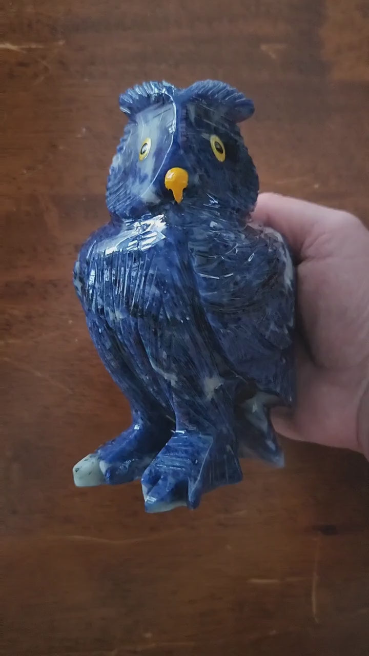 Gorgeous AAA Master Carved Sodalite Owl Crystal Statue, Rare