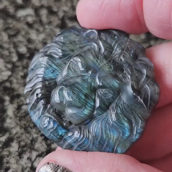 Labradorite Crystal Lion Coin Carving: Hand Carved Palm Stone with Extreme Flash
