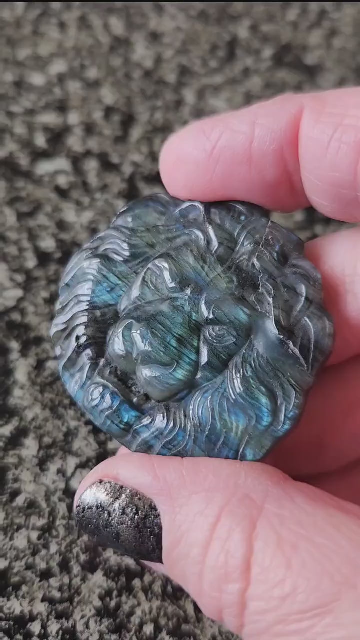 Labradorite Crystal Lion Coin Carving: Hand Carved Palm Stone with Extreme Flash