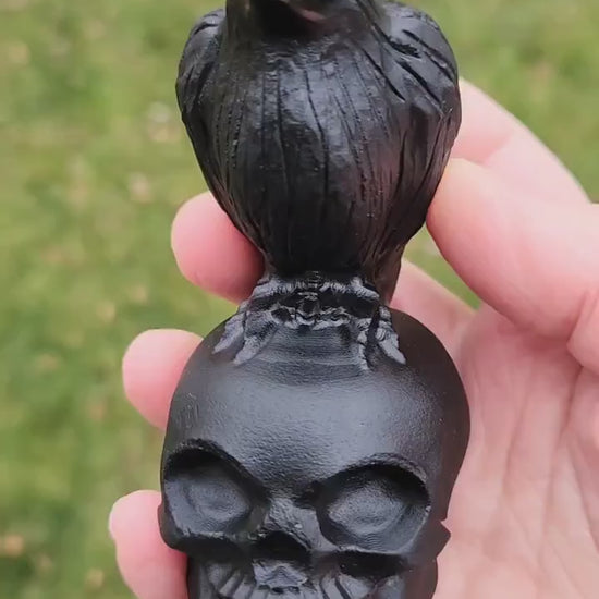 Carved Black Obsidian Crow Raven on Skull: Natural Crystal Raven Figurine