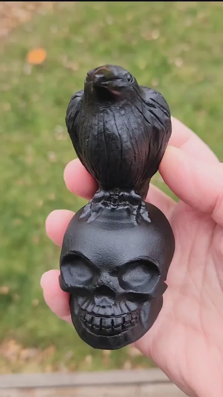 Carved Black Obsidian Crow Raven on Skull: Natural Crystal Raven Figurine