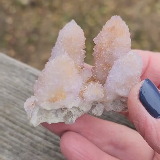 Beautiful AAA Very Large Spirit Quartz Raw Crystal with 4 Large Points Ametrine, South African Cactus Quartz