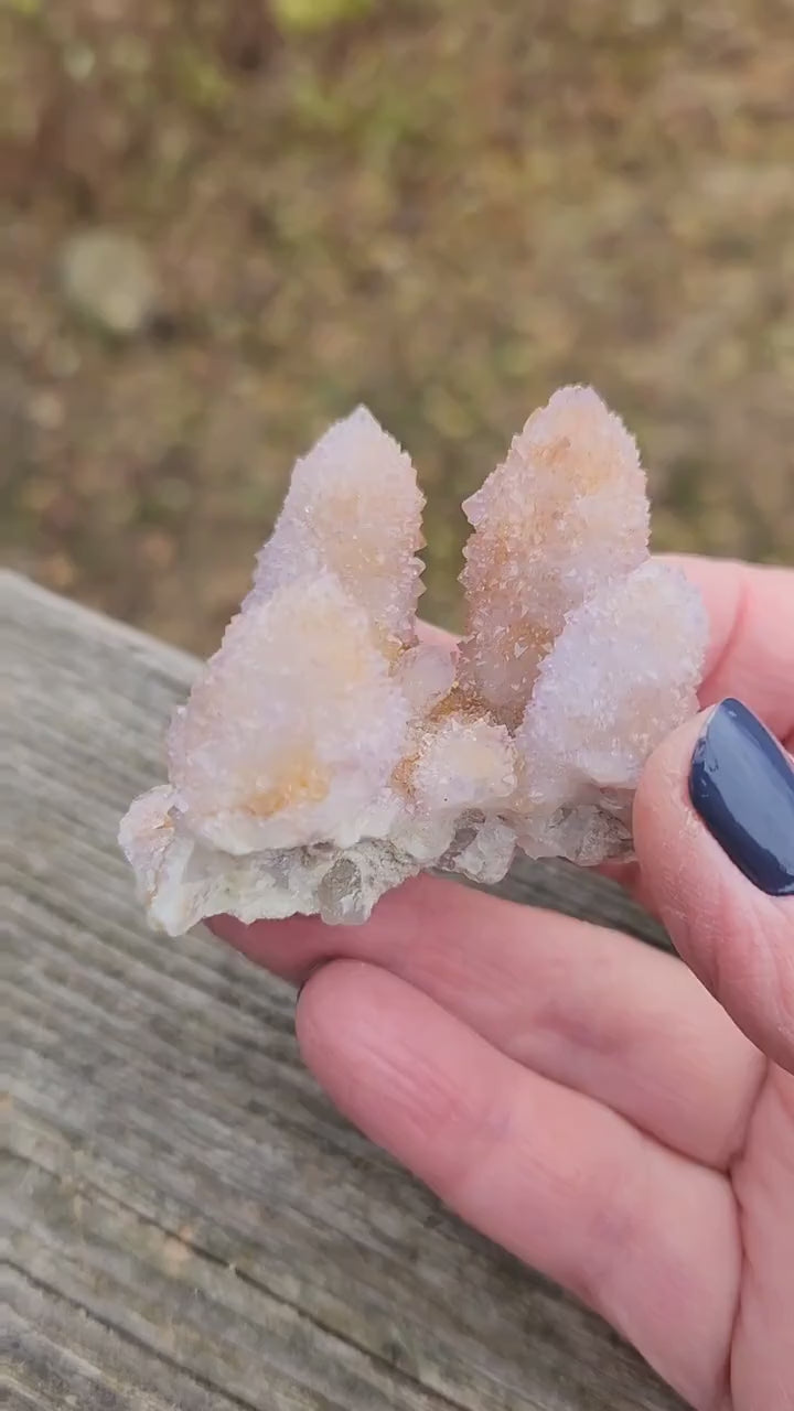 Beautiful AAA Very Large Spirit Quartz Raw Crystal with 4 Large Points Ametrine, South African Cactus Quartz