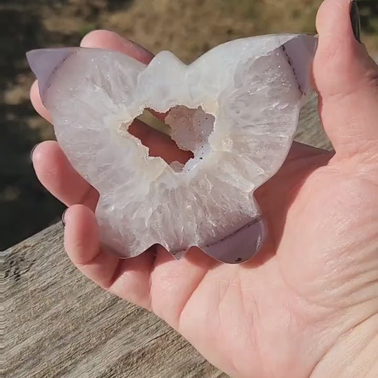 Stunningly Beautiful White and Purple Tipped Druzy Thick Slab Cut Agate Butterfly with black metal stand,  Portal, Rainbows!