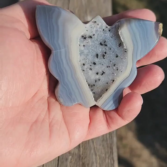 Stunning Blue Banded Druzy Thick Slab Cut Agate Crystal Butterfly with a black metal stand