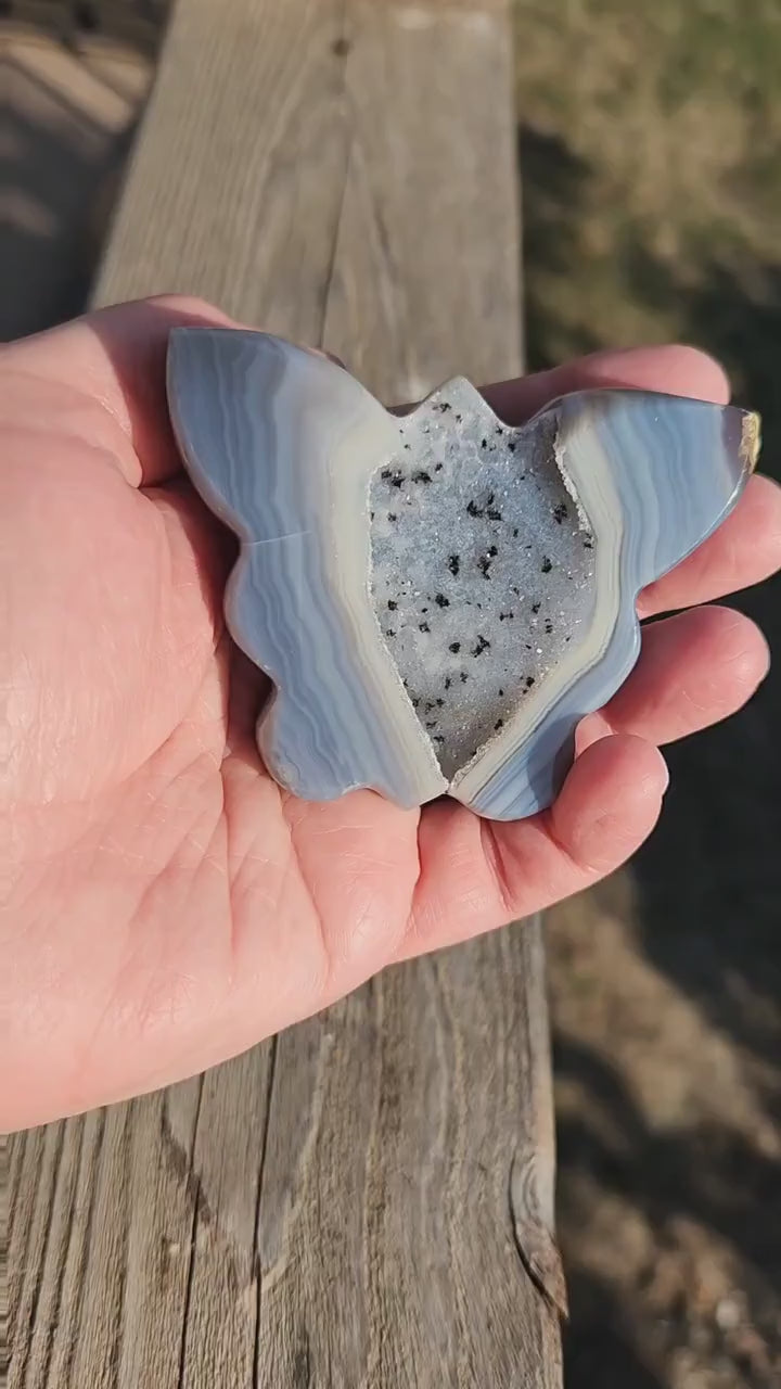 Stunning Blue Banded Druzy Thick Slab Cut Agate Crystal Butterfly with a black metal stand