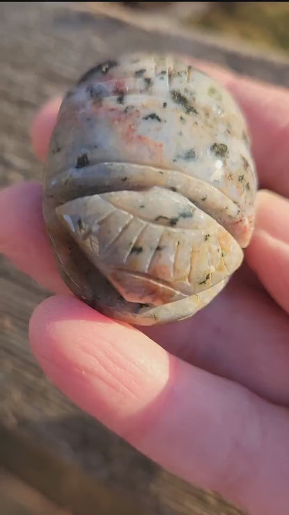 Ocean Jasper Polished Scarab Beetle Crystal Carving