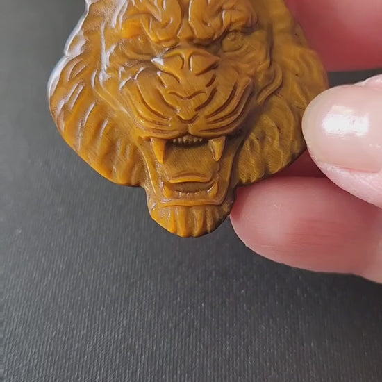 Crazy Cool Beautiful Juicy Tigers Eye Crystal Tiger Head Coin Carving