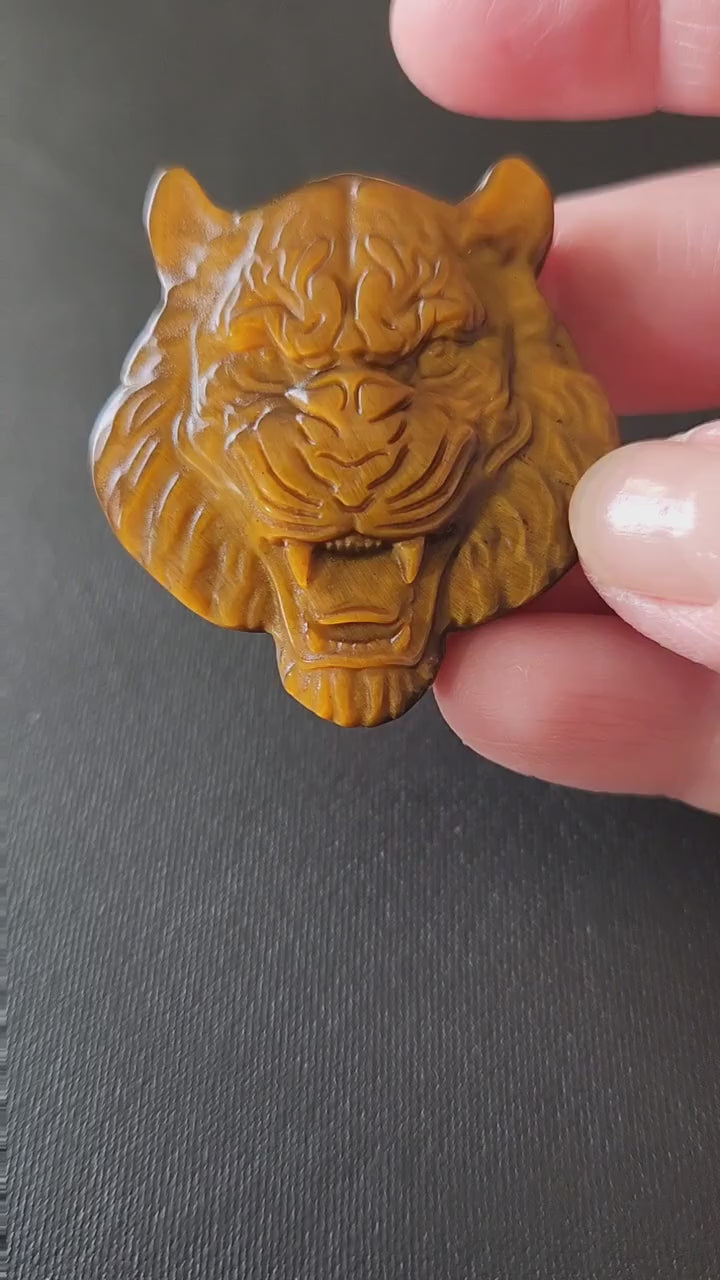 Crazy Cool Beautiful Juicy Tigers Eye Crystal Tiger Head Coin Carving