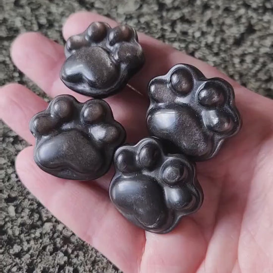 Silver Obsidian Crystal Paw: Pocket Sized, Smooth Carved Stone, One