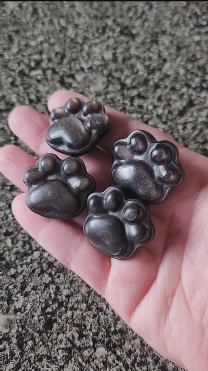 Silver Obsidian Crystal Paw: Pocket Sized, Smooth Carved Stone, One
