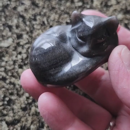 Super Cute Silver Sheen Obsidian Sleeping Cat Natural Stone Crystal with flash