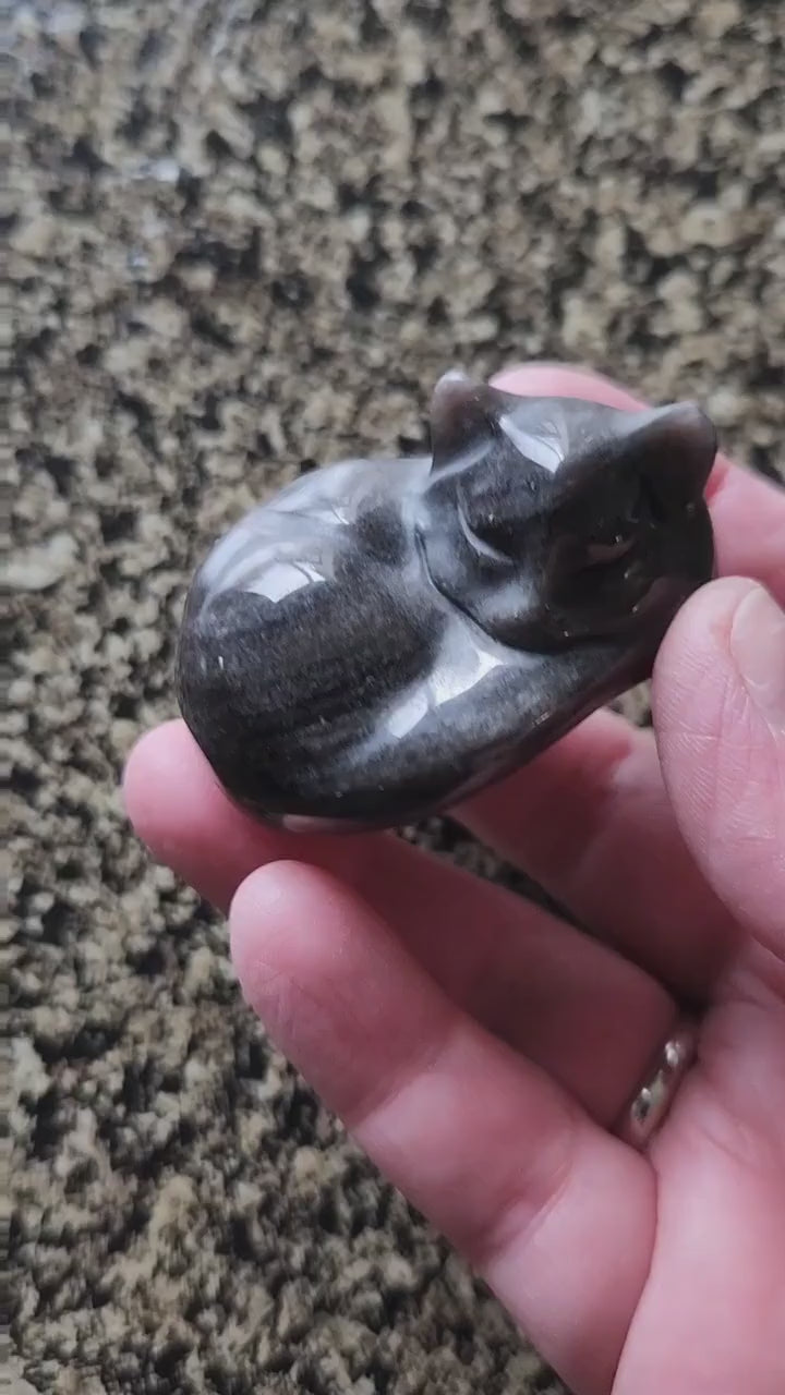Super Cute Silver Sheen Obsidian Sleeping Cat Natural Stone Crystal with flash