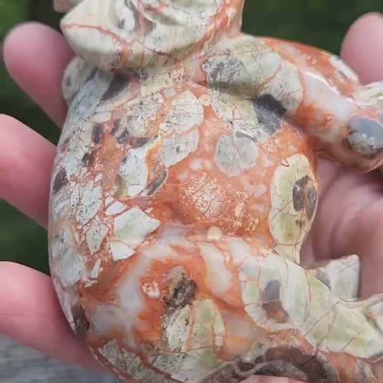 Carved Money Agate Elephant: High Polished Crystal Stone