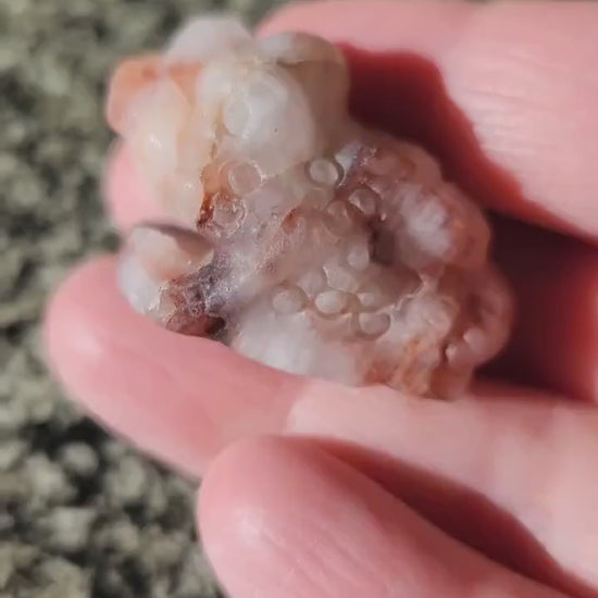Pocket Sized Fire Quartz Crystal Money Toad All Natural, Extra Small