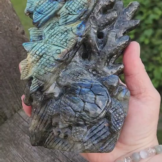 Very Unique & Rare Labradorite Fish, Turtle and Reef Underwater Large Carved Crystal with flash