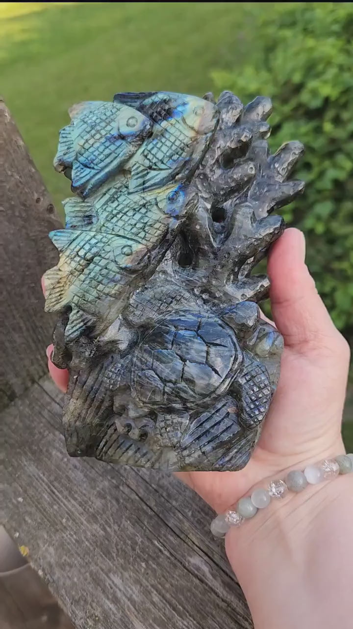 Very Unique & Rare Labradorite Fish, Turtle and Reef Underwater Large Carved Crystal with flash