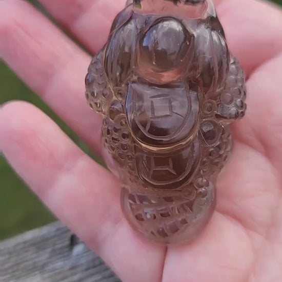 Gorgeous AAA Smoky Quartz Crystal Money Toad All Natural
