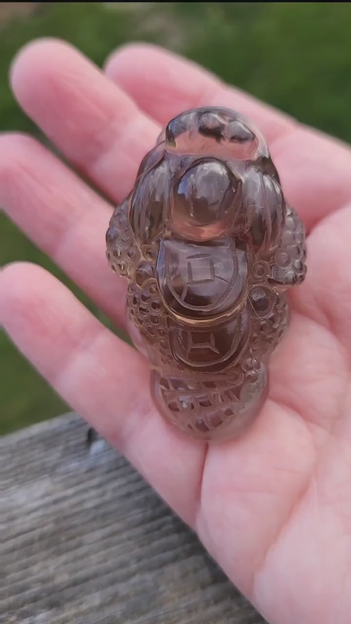Gorgeous AAA Smoky Quartz Crystal Money Toad All Natural