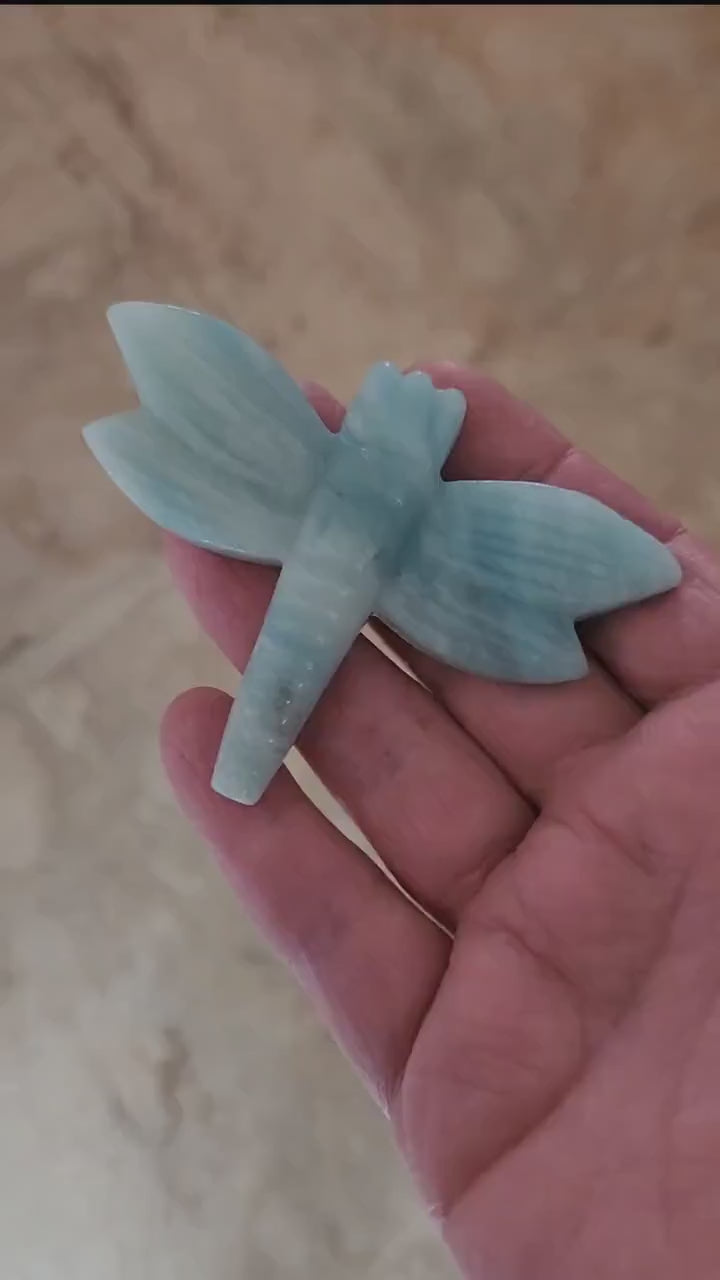 Cute AAA Blue Aragonite Unique Crystal Dragonfly