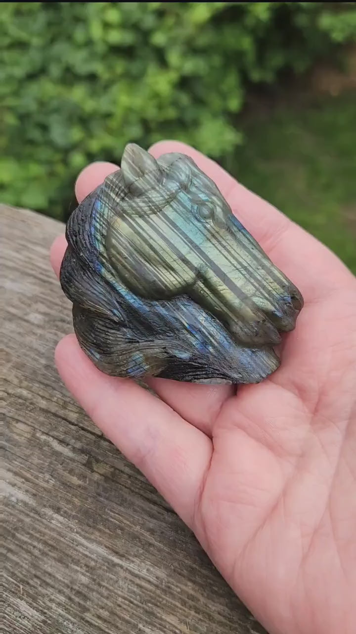 Very Unique Labradorite Horse Head Carved Crystal with flash, Palm Sized