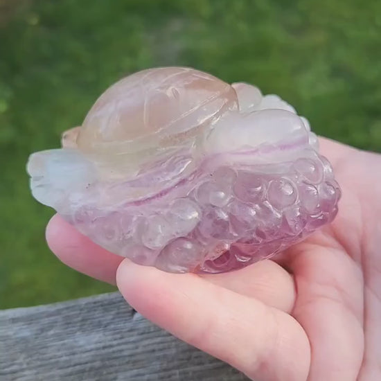 Beautiful Carved Candy Fluorite Crystal Turtle Natural Stone, So Colorful, Unique