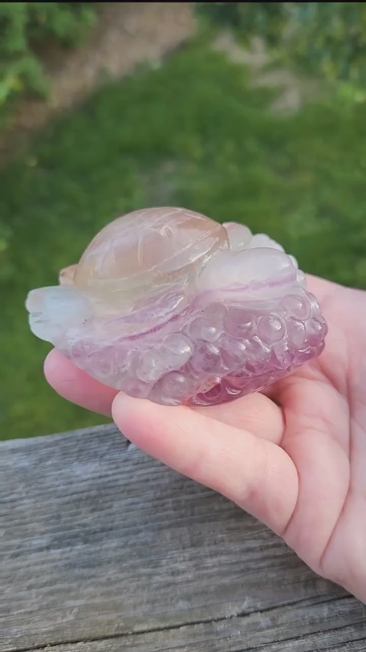 Beautiful Carved Candy Fluorite Crystal Turtle Natural Stone, So Colorful, Unique