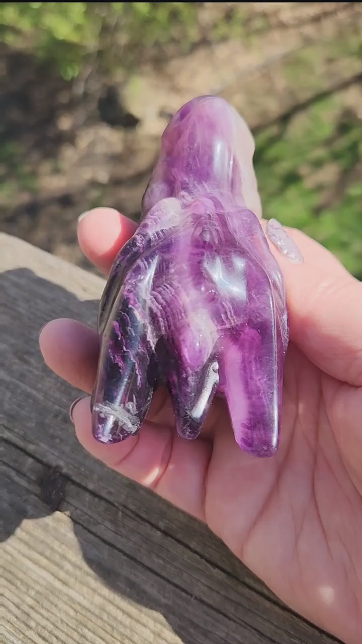 Beautiful AAA High Quality Purple Fluorite Unique Dragon Head Crystal, Dragon with Pyrite, DnD