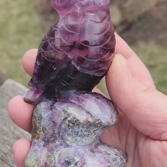 Carved Candy Fluorite Crystal Owl on Natural Root Stone, Unique