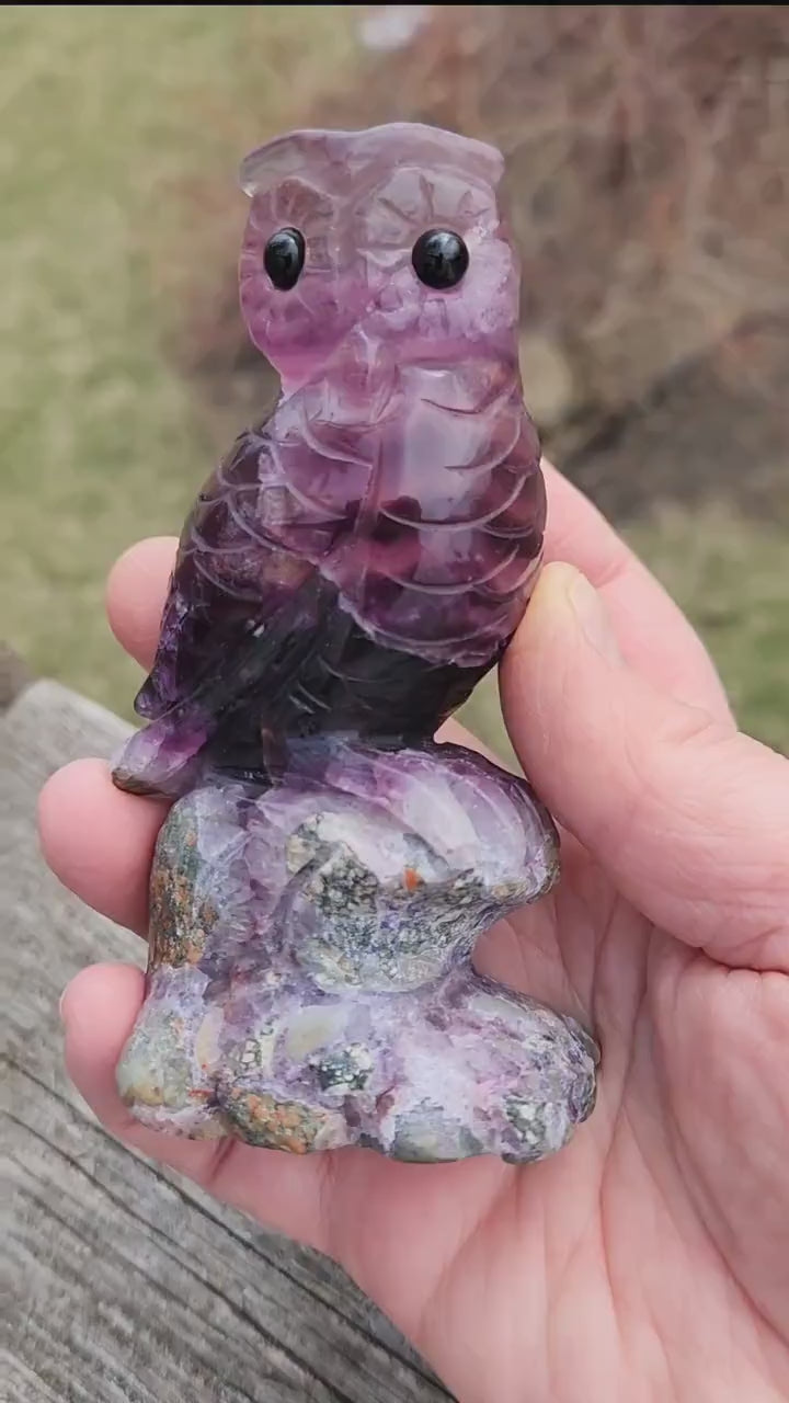 Carved Candy Fluorite Crystal Owl on Natural Root Stone, Unique