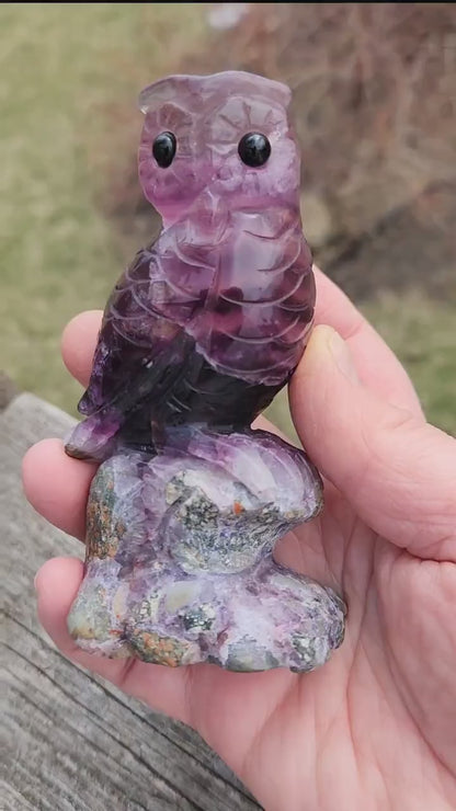 Carved Candy Fluorite Crystal Owl on Natural Root Stone, Unique