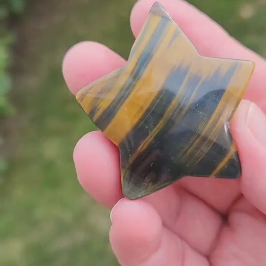 Polished Blue and Gold Tiger Eye Crystal Star: Pocket Palm Stone