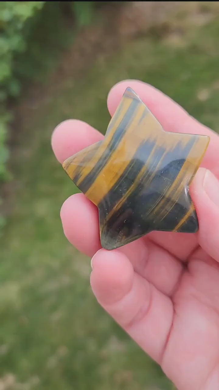 Polished Blue and Gold Tiger Eye Crystal Star: Pocket Palm Stone
