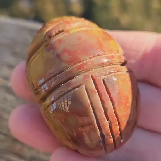 Picasso Jasper Polished Scarab Beetle Crystal Carving