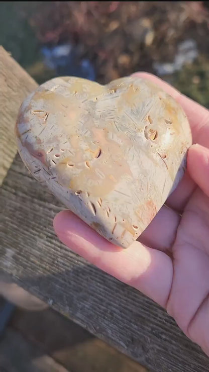 High Polished Bahia Jasper Crystal Heart, Hand Sized