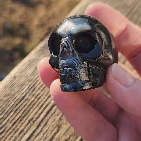 Beautiful AAA High Quality Black Onyx Unique Skull