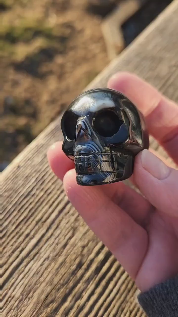 Beautiful AAA High Quality Black Onyx Unique Skull