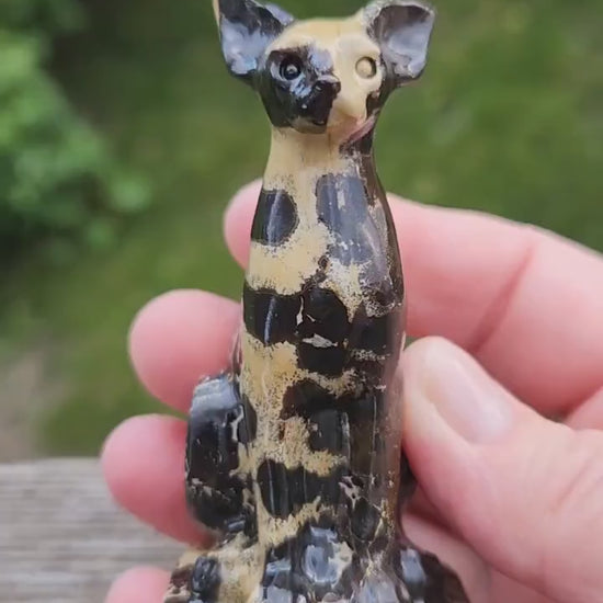 Super Cool Picture Jasper Sitting Cat Natural Stone Crystal, Sphynx