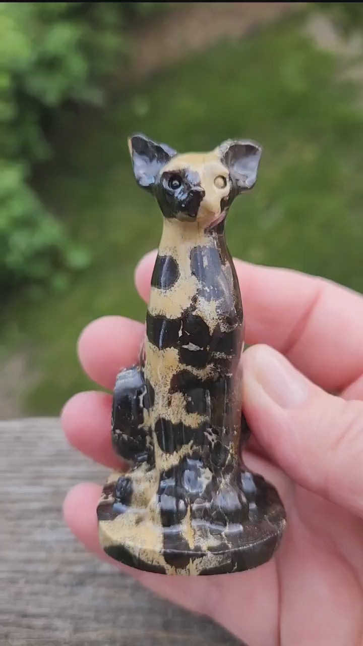 Super Cool Picture Jasper Sitting Cat Natural Stone Crystal, Sphynx