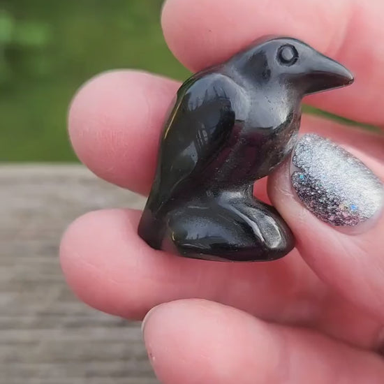 So Beautiful Black Obsidian Carved Small Crow, All Natural Crystal, One