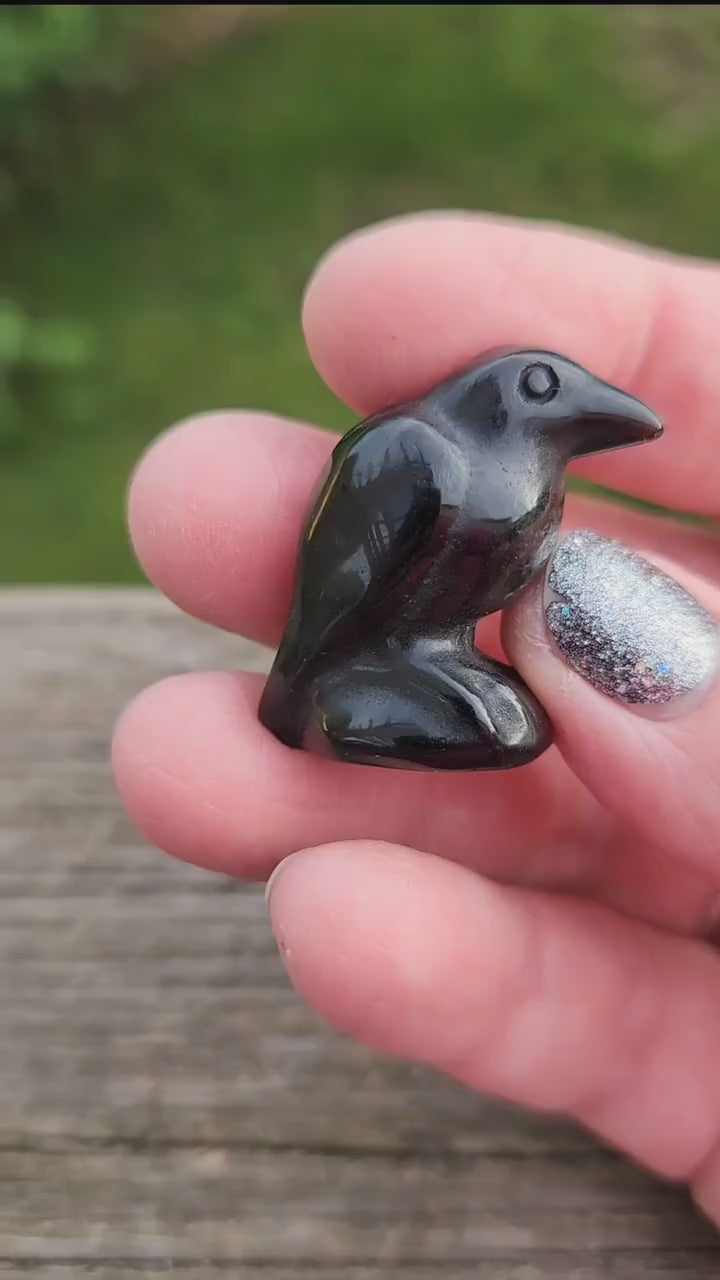 So Beautiful Black Obsidian Carved Small Crow, All Natural Crystal, One