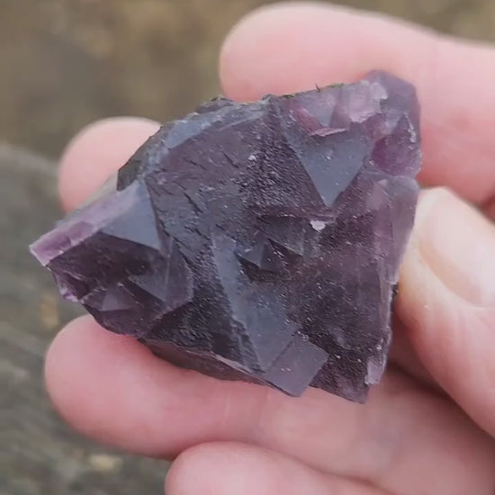 Gorgeous AAA Multi-Color Purple & Blue Fluorite Crystal Specimen