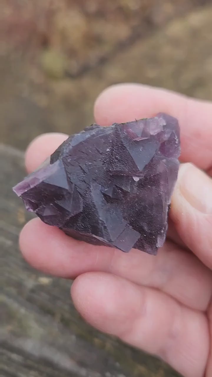 Gorgeous AAA Multi-Color Purple & Blue Fluorite Crystal Specimen