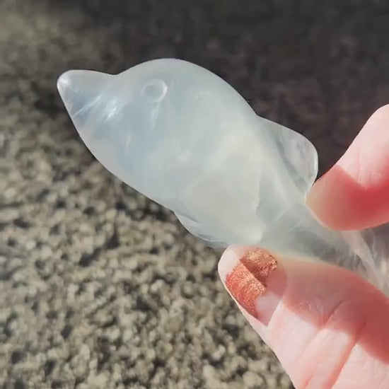 Mini Light Green Fluorite Dolphin Crystal Carving - High Polish