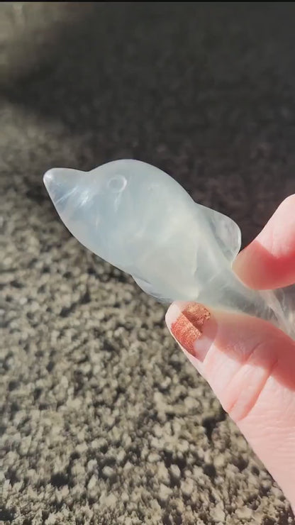 Mini Light Green Fluorite Dolphin Crystal Carving - High Polish