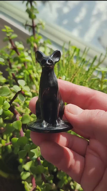 Black Obsidian Cat Figurine: Natural Stone Crystal, Sphynx